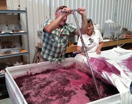 Jonny Love making wine - regular mixing of the fermenting crushed grapes