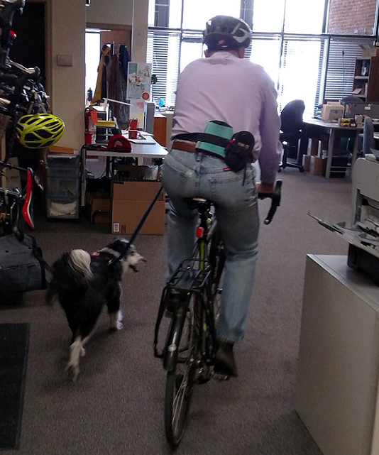 Riding-laps-in-the-office-cropped
