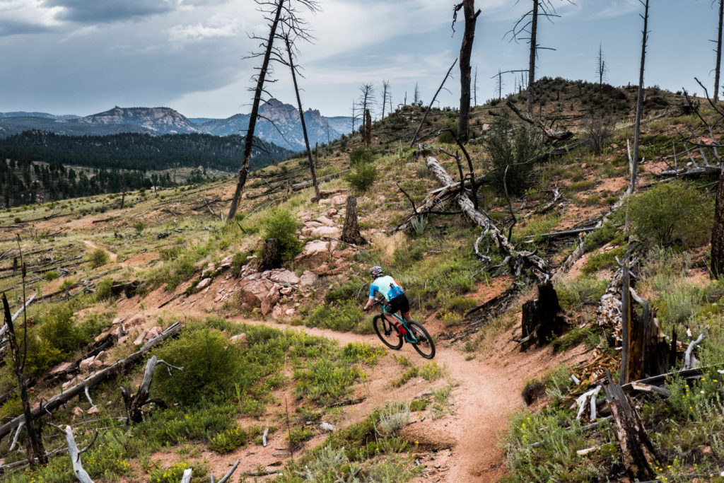 Survey Says: These are Colorado’s best bike rides - Bicycle Colorado