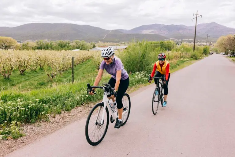 Two bicyclists riding on the road.