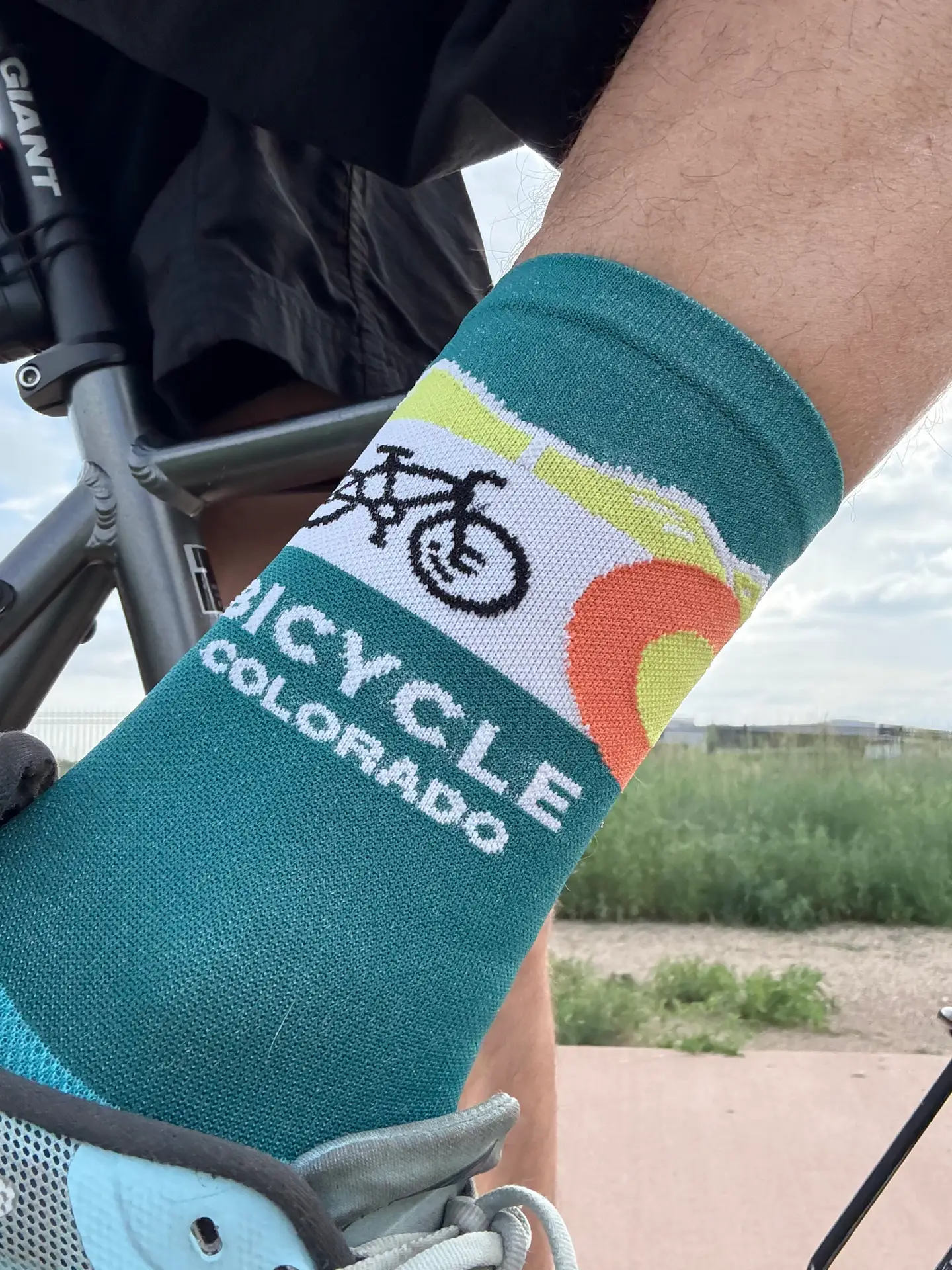 Bicycle Colorado sock