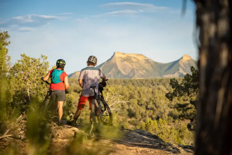 Mountain bikers looking at the mountains