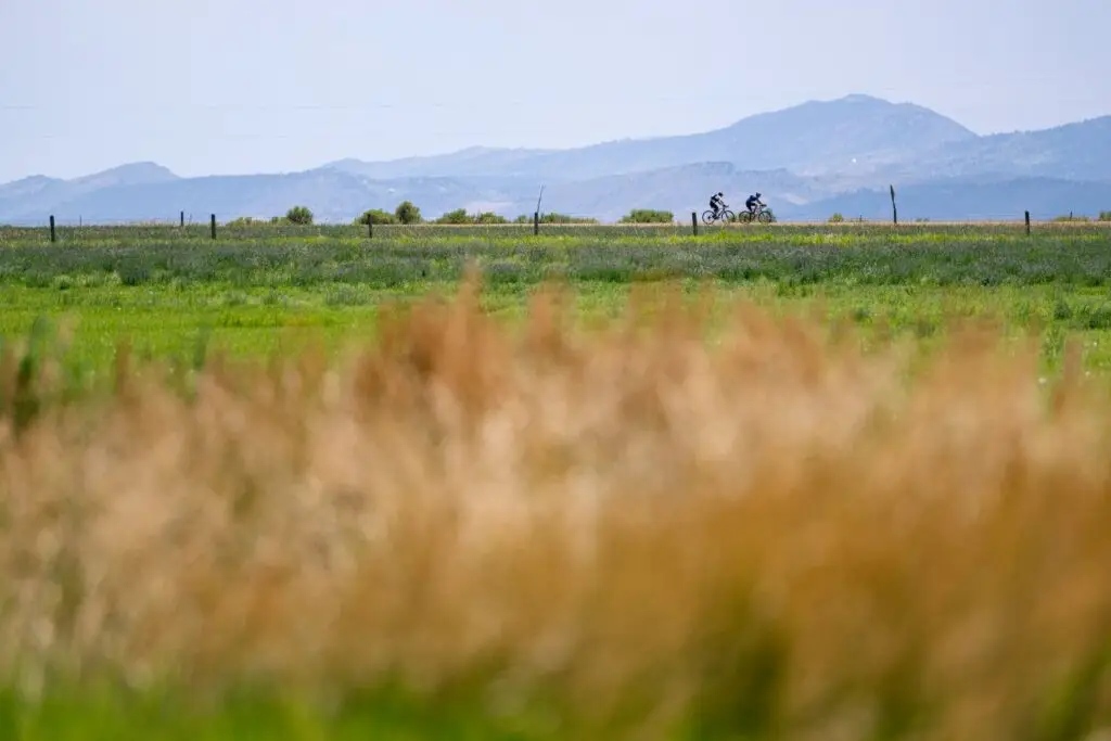 FoCo Fondo bicyclists