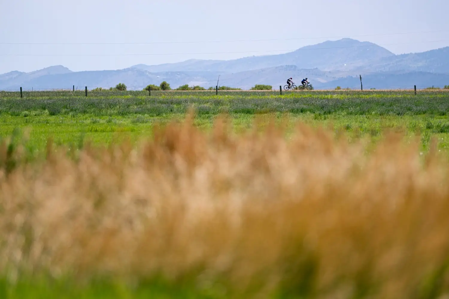 FoCo Fondo bicyclists