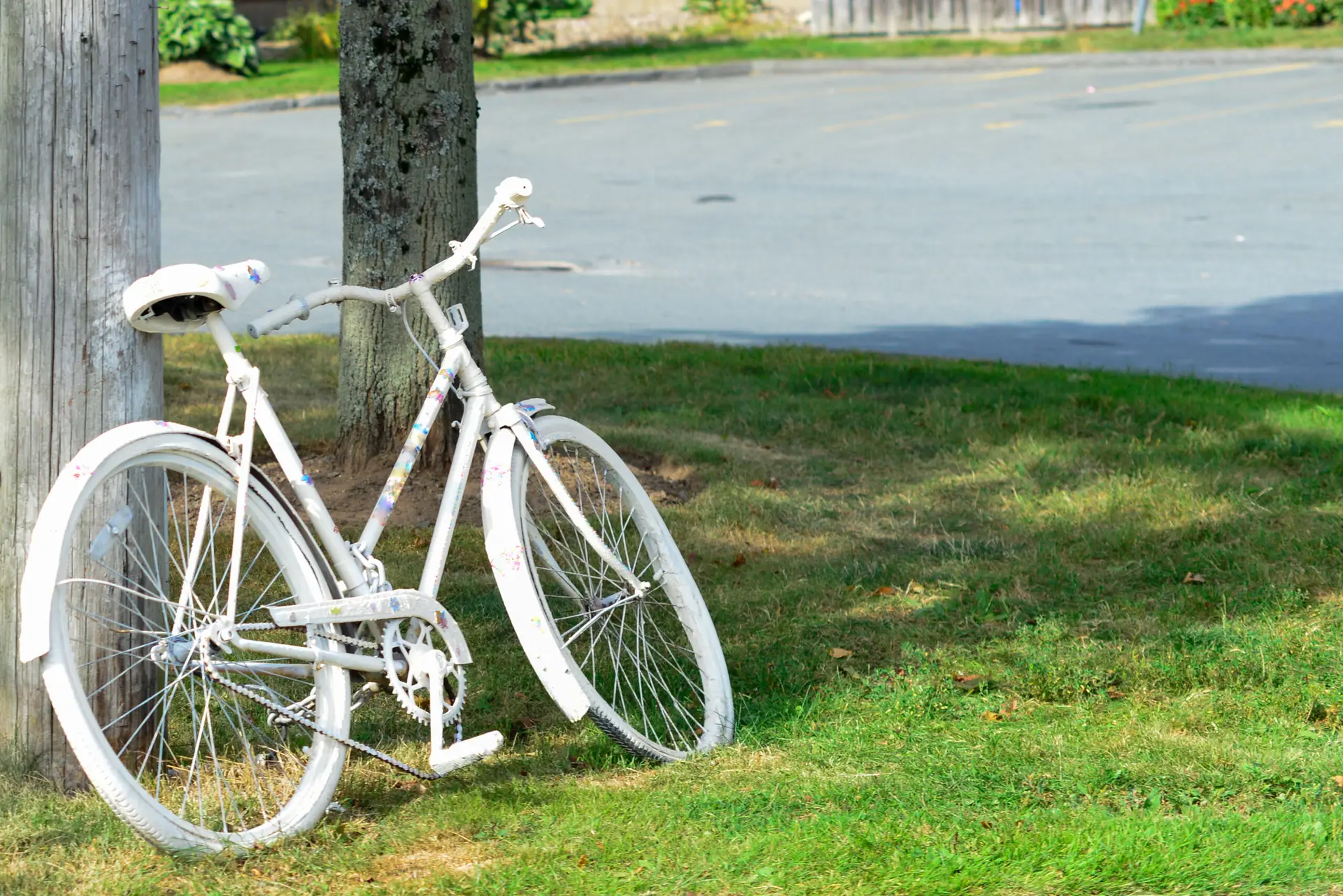 Adult ghost bike memorial