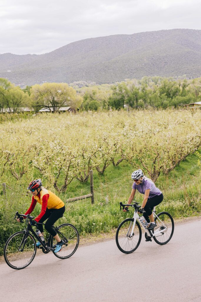 Two bicyclists on the road