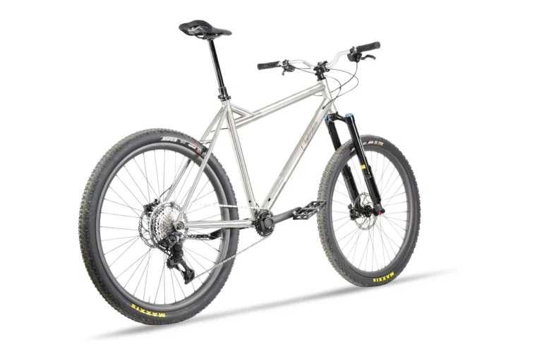 Zinn custom mountain bike